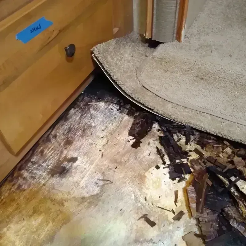 Wood Floor Water Damage in Belhaven, NC